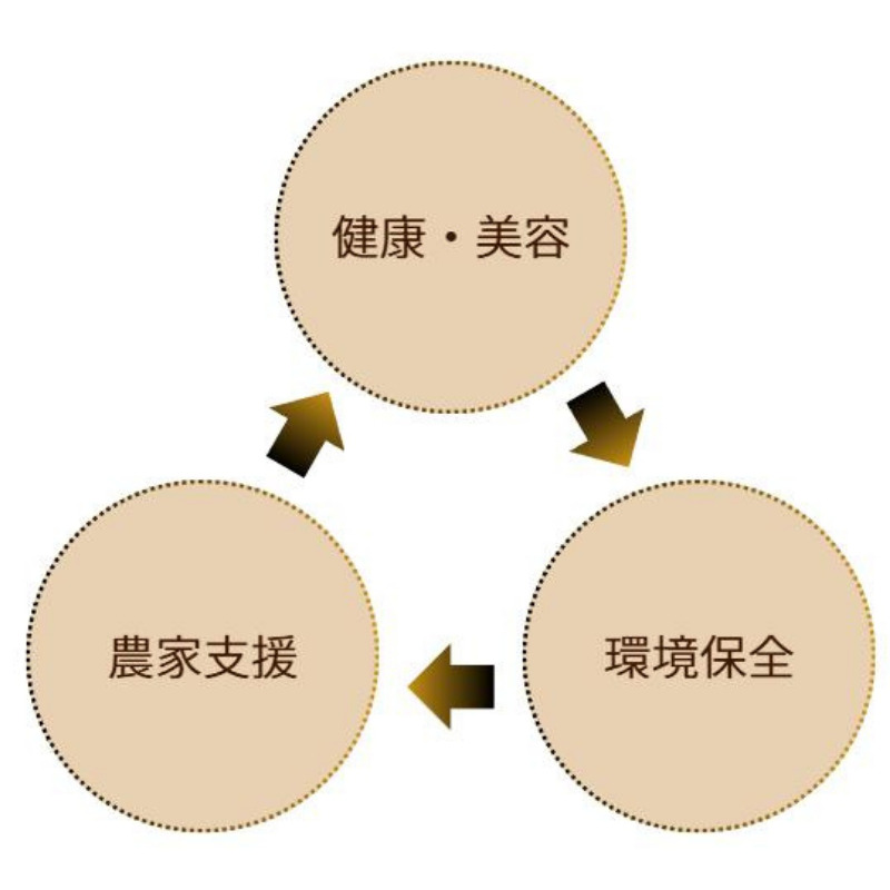 循環